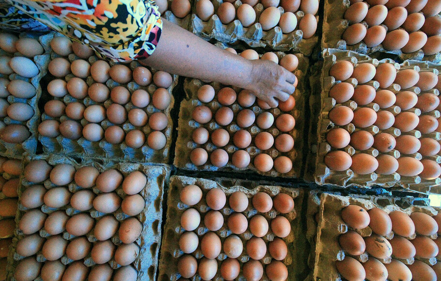Harga Telur Di Sidoarjo Mulai Normal 