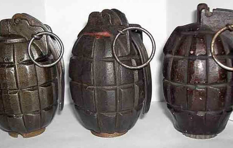 Ilustrasi granat.