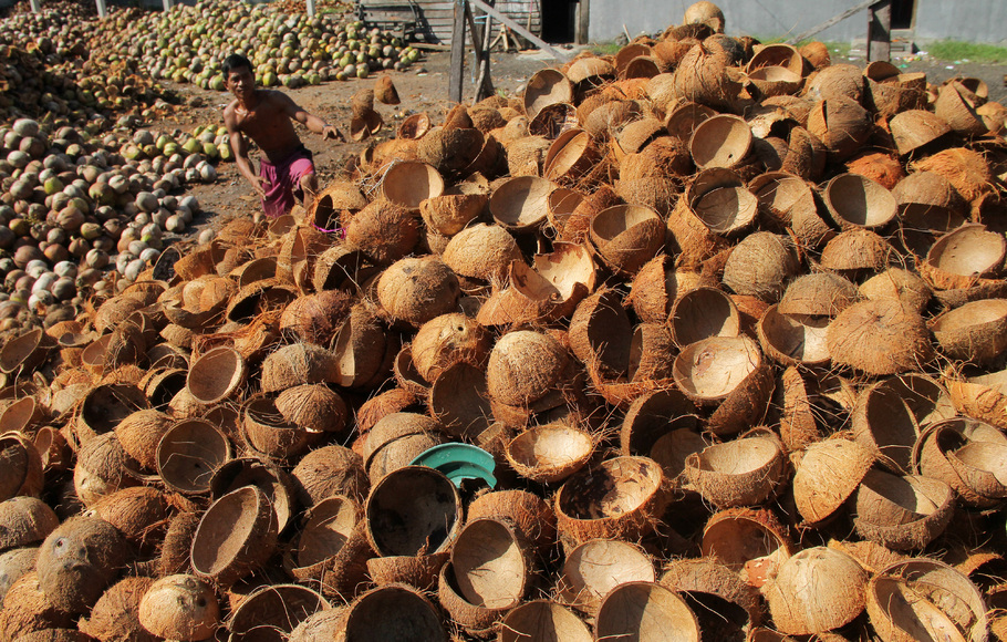 Ilustrasi batok kelapa.