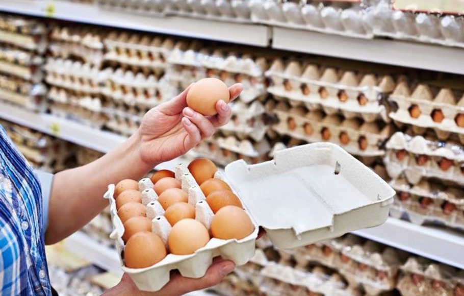 Ilustrasi memilih telur yang aman untuk dikonsumsi. 
