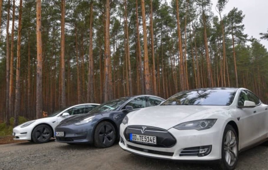 Kendaraan listrik Tesla di tepi hutan pabrik yang direncanakan perusahaan di Brandenburg, Jerman.