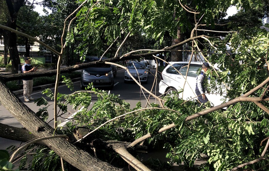 Petugas mengatur arus lalu lintas yang tersendat saat pohon tumbang akibat angin kencang di Jalan Patimura, Jakarta Selatan, Rabu, 9 Desember 2020.