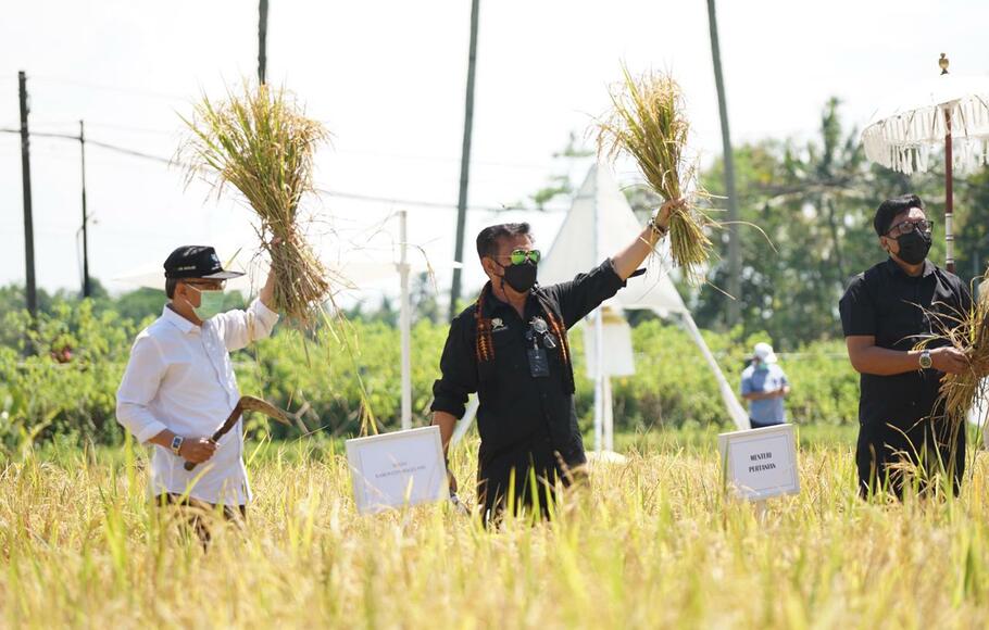 Menteri Pertanian, Syahrul Yasin Limpo (tengah) mengunjungi sekaligus panen padi di Svarga Bumi Borobudur, lokasi agro wisata sawah Kabupaten Magelang, Sabtu 6 Maret 2021.