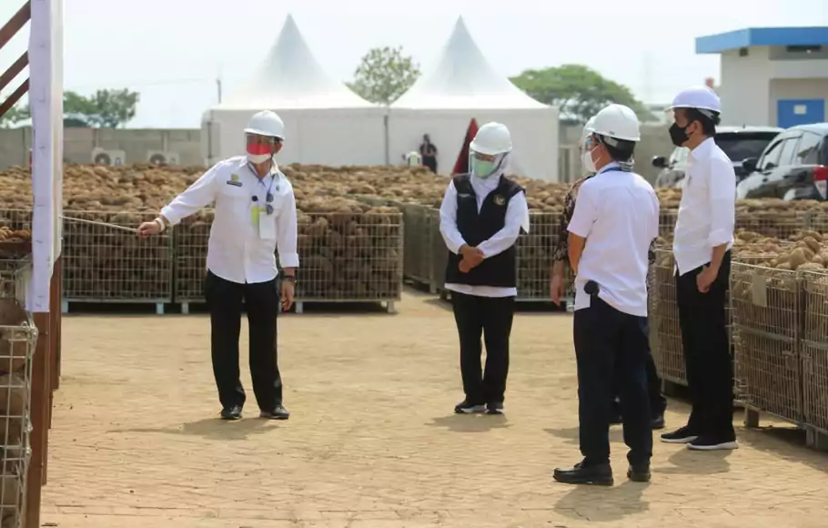 Presiden Jokowi bersama Menteri Pertanian Syahrul Yasin Limpo meninjau pengolahan porang di Madiun, Kamis 19 Agustus 2021.