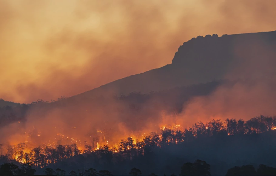 Ilustrasi kebakaran hutan dan lahan (Karhutla).
