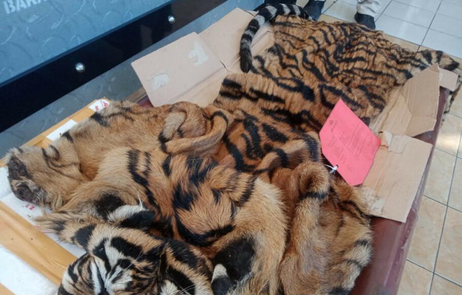 Petugas Polres Lampung Selatan gagalkan penyelundupan kulit harimau Sumatera. ANTARA/HO-Polres Lampung Selatan