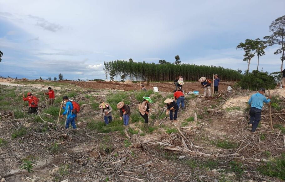 Kelompok Tani Padi Gunung di Kabupaten Kutai Kartanegara melakukan program DMPA yakni melakukan pembersihan lahan dengan tanpa membakar. 
