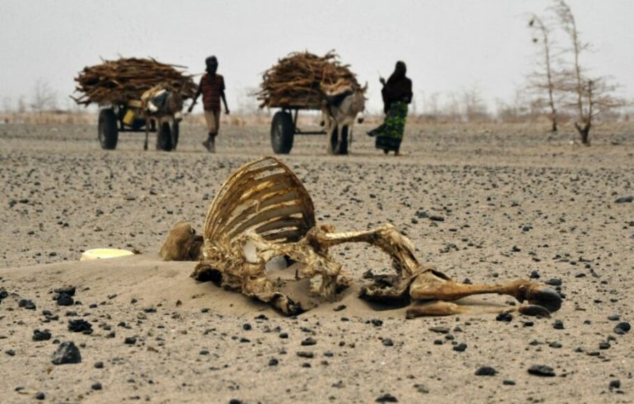 Perubahan iklim telah mengakibatkan kekeringan yang lebih lama dan lebih sering di sejumlah wilayah Kenya.