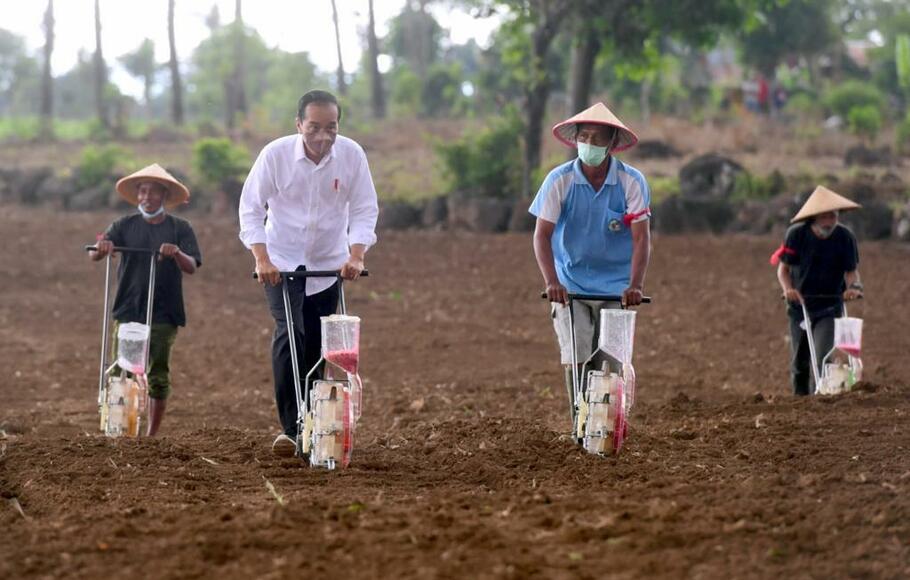 Presiden Joko Widodo (Jokowi) mengikuti kegiatan tanam jagung pada hamparan seluas 1.000 hektare di Kelurahan Tolokota, Kecamatan Kelara, Kabupaten Jeneponto, Sulawesi Selatan, Selasa 23 November 2021.