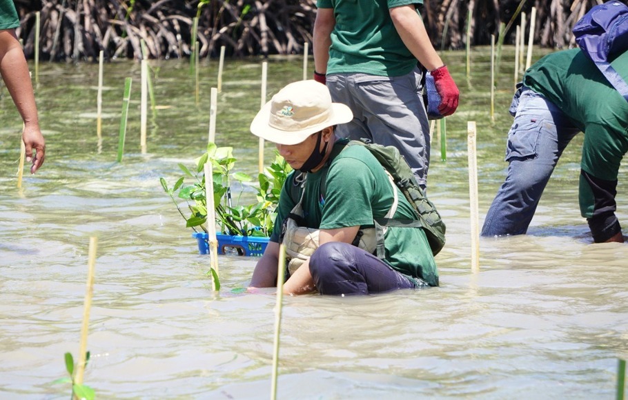 PLN Unit Induk Penyaluran dan Pengatur Beban (UP3B) Mataram melaksanakan kegiatan penanaman mangrove di Gili Petagan, Sambelia, Kabupaten Lombok Timur, Senin (29/11/2021). 
