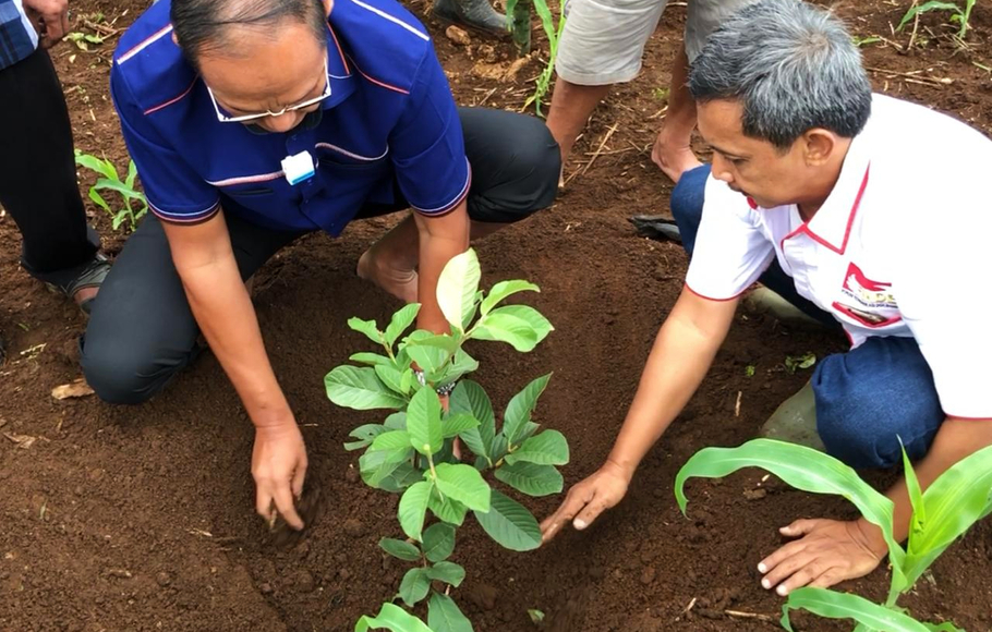 Gerakan menanam pohon yang dilakukan Forum Komunikasi Doa Bangsa (FKDB) di Kampung Panenjoan, Desa Tenjojaya, Kecamatan Cibadak, Sukabumi, Jawa Barat.