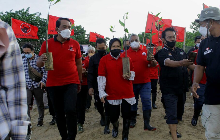 Ketua DPP PDI Perjuangan yang juga Menteri Sosial Tri Rismaharini (tengah), bersama sejumlah kader partai menanam pohon mangrove di kawasan konservasi mangrove, pantai Telaga Waja, Badung, Bali, Minggu 23 Januari 2022. 