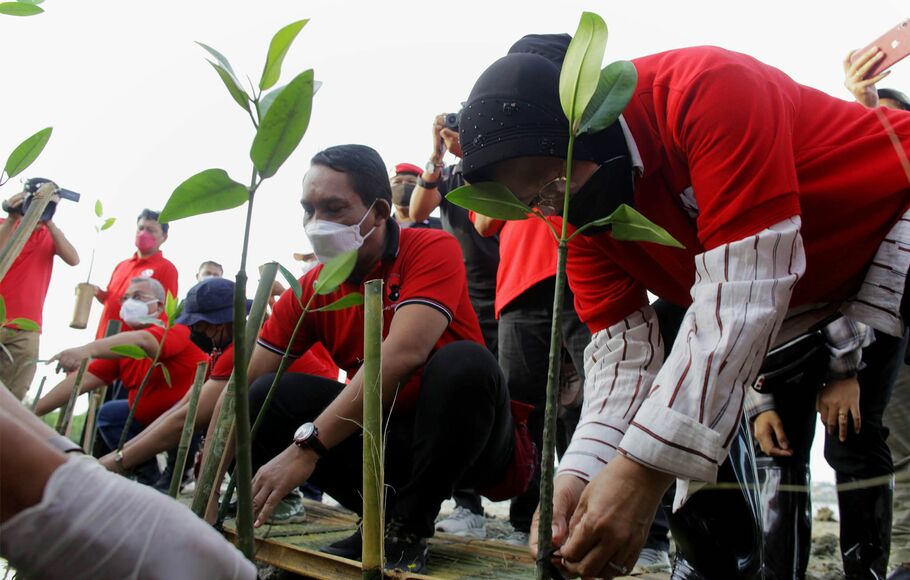 Ketua DPP PDI Perjuangan yang juga Menteri Sosial Tri Rismaharini (kanan), bersama sejumlah kader partai menanam pohon mangrove di kawasan konservasi mangrove, pantai Telaga Waja, Badung, Bali, Minggu 23 Januari 2022.