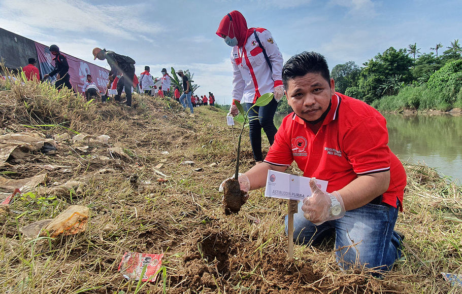 Wakil Ketua DPD PDI Perjuangan Banten Astiruddin Purba saat menanam bibit mangrove di bantaran Sungai Cisadane