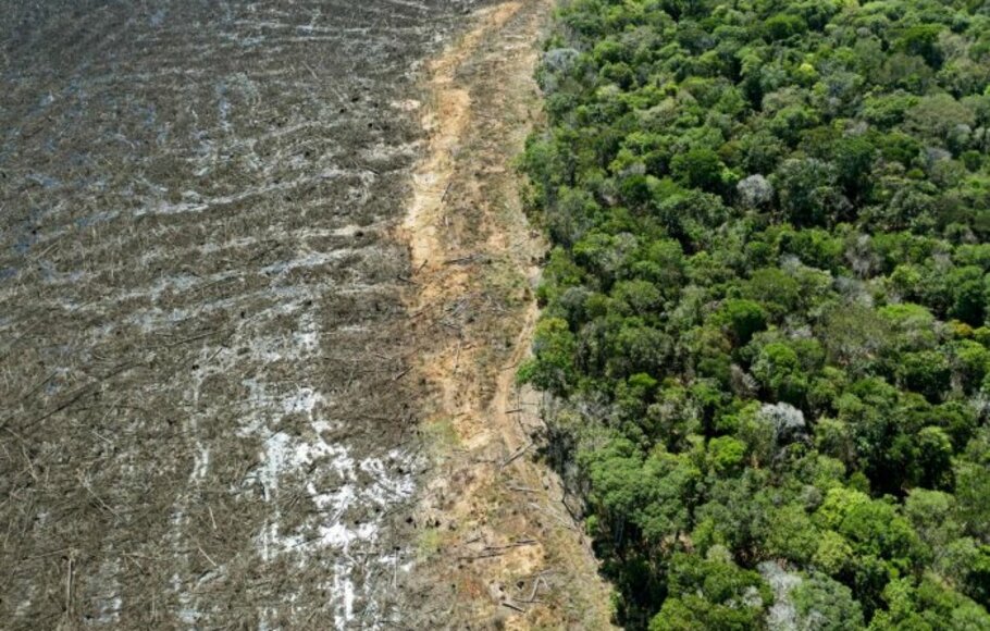 Deforestasi hutan Amazon di Brasil. 