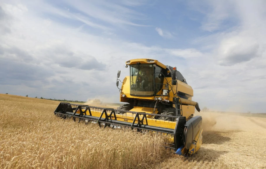 Panen gabungan mengambil gandum di ladang dekat desa Krasne di daerah Chernihiv, 120 km ke utara dari Kyiv, Ukraina pada 5 Juli 2019. 