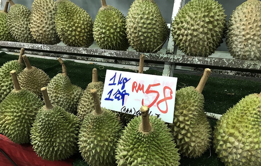 Ilustrasi durian di Malaysia.