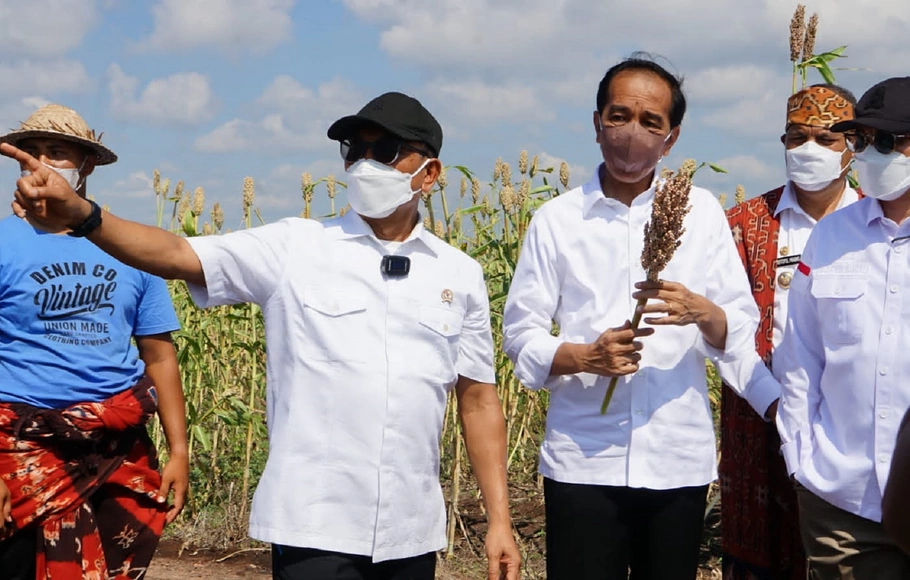 Kepala Staf Kepresidenan Moeldoko saat mendampingi Presiden Joko Widodo menanam dan memanen tanaman pangan sorgum di Desa Laipori, Kab. Sumba Timur, Nusa Tenggara Timur, Kamis 2 Mei 2022.