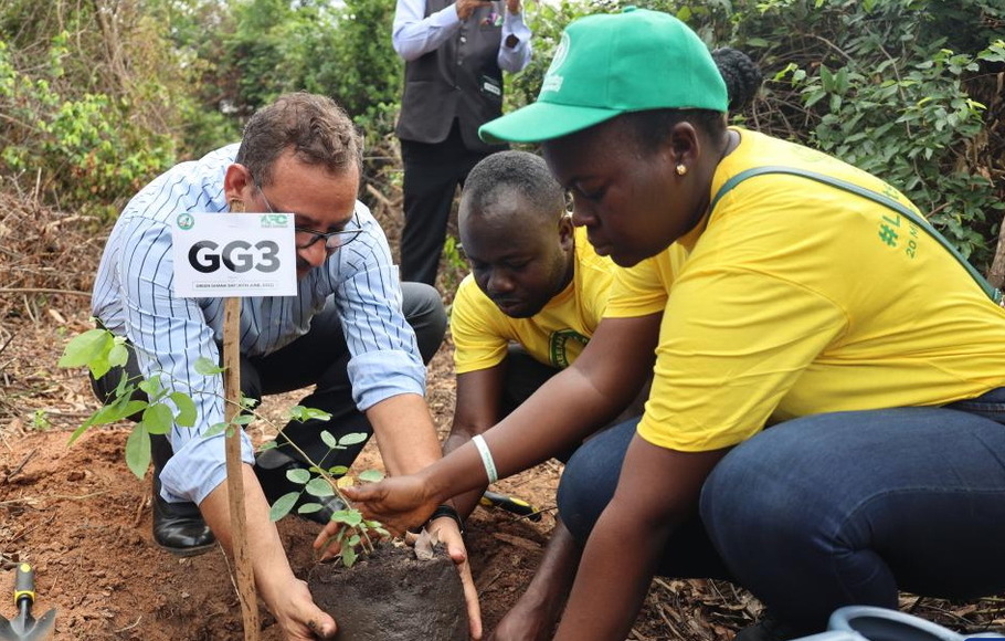 Para relawan menanam bibit pohon di hutan di Accra, Ghana, Jumat 10 Juni 2022. Pemerintah Ghana pada hari Jumat berjanji untuk menanam setidaknya 20 juta pohon dalam tahun ini untuk memulihkan hutan secara nasional.