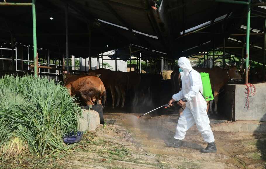 Petugas Dinas Ketahanan Pangan dan Pertanian (DKPP) Kota Bogor melakukan desinfektan di rumah pemotongan hewan (RPH) Bubulak, Kota Bogor, Selasam 21 Juni 2022.