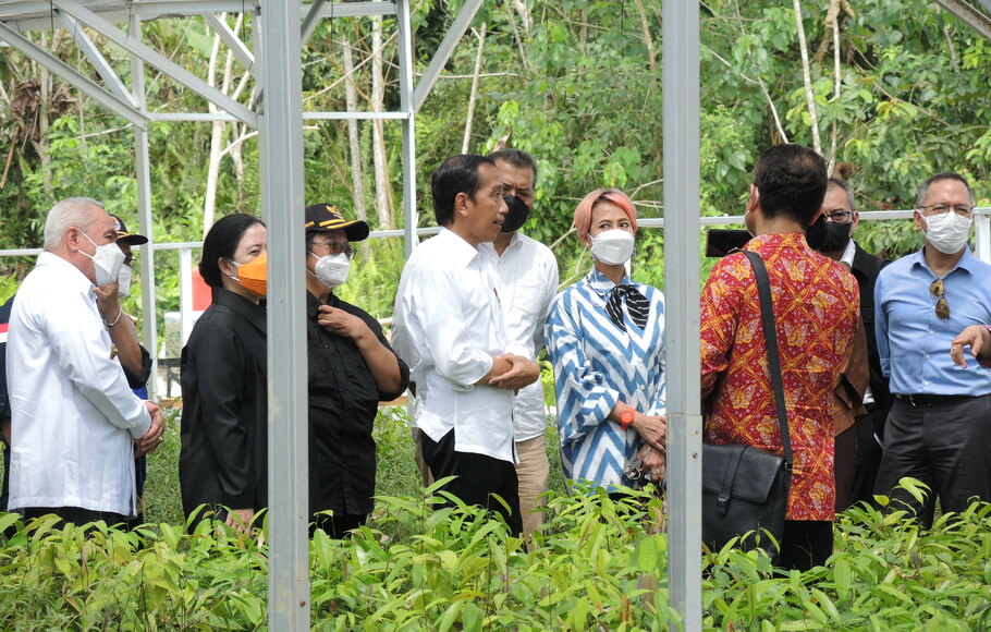 Presiden Jokowi mengajak para pemred media melihat langsung proses pembangunan persemaian mentawir, sebagai pusat pemasok rehabilitasi hutan di IKN Nusantara, Rabu 22 Juni 2022.