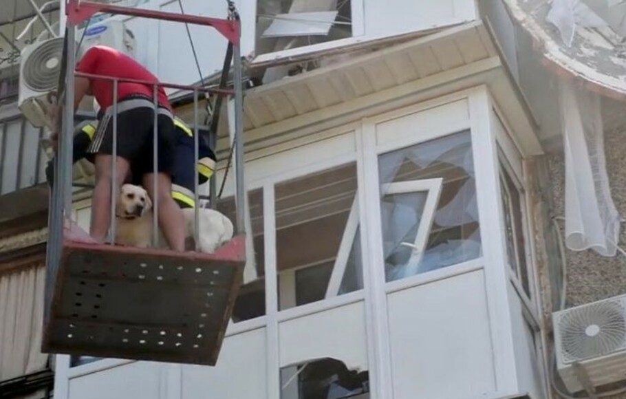 Tim penyelamat mengevakuasi seekor anjing dari bangunan tempat tinggal yang rusak setelah serangan rudal Rusia di Mykolaiv, Ukraina.