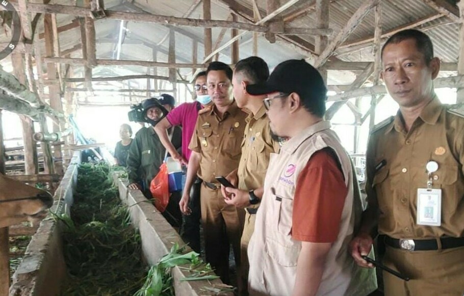 Petugas Dinas Pertanian Kabupaten Tulang Bawang, Provinsi Lampung lakukan vaksin PMK, Senin, 4 Juli 2022.