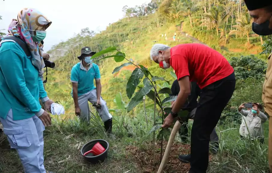 Gubernur Jawa Tengah (Jateng) Ganjar Pranowo ikut menanam pohon. 