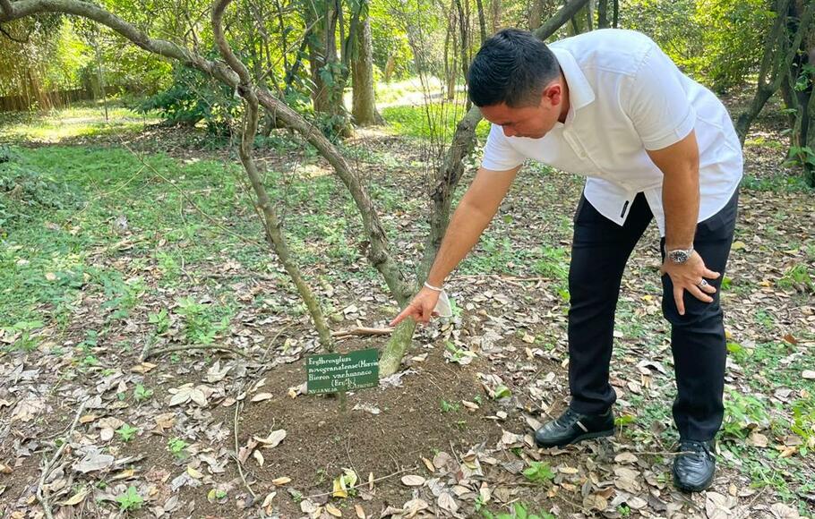 Kasat Narkoba Polres Bogor Kompol Agus Susanto saat menunjukkan salah satu pohon koka di Kebun Raya Bogor, Senin, 8 Agustus 2022.