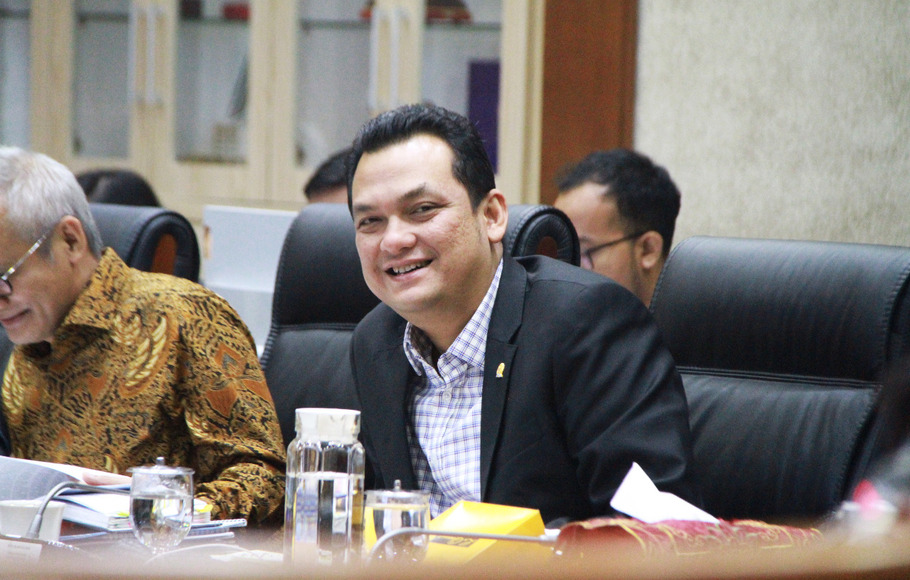 Wakil Ketua Komisi VI DPR Martin Manurung.