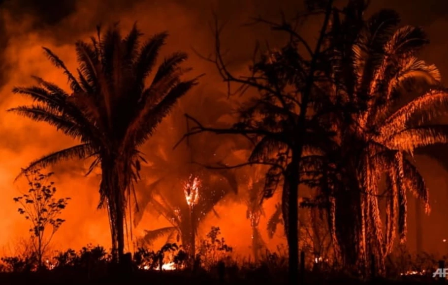Foto dokumentasi pada 1 Oktober 2019 menunjukkan kebakaran di dekat Itaituba, negara bagian Para, Brasil, di hutan hujan Amazon.