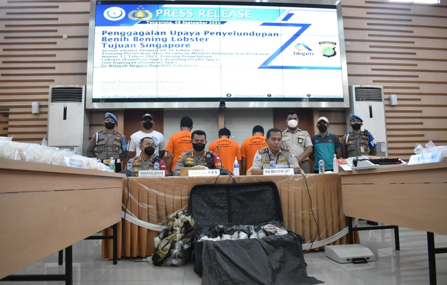Konferensi pers penggagalan upaya penyelundupan benih bening lobster tujuan Singapura di BKIPM Jakarta.
