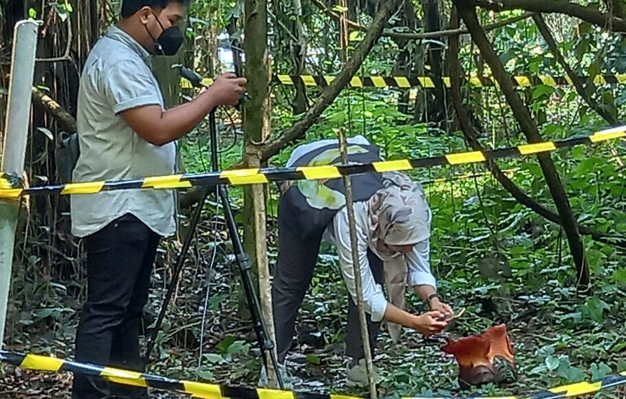 Peneliti BRIN melakukan riset bunga Rafflesia Arnoldi di area Kebun Raya Bogor, Rabu 14 September 2022.