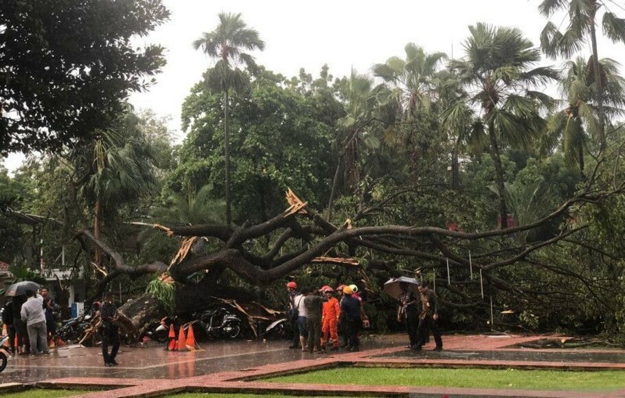 Pohon tumbang menimpa 6 orang dan 28 sepeda motor yang parkir di halaman depan Balai Kota Jakarta, Kamis 10 November 2022.
