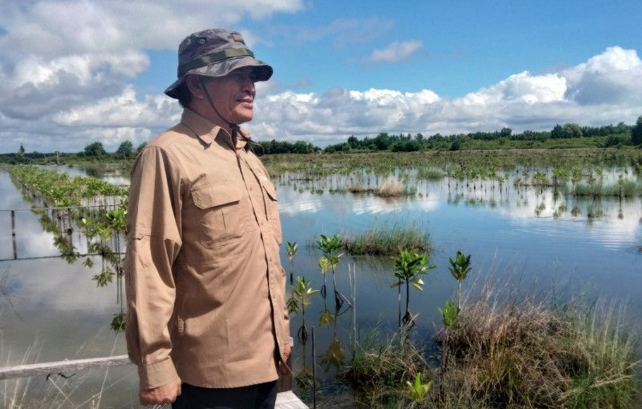 Kepala Badan Restorasi Gambut dan Mangrove (BRGM) Hartono saat meninjau kawasan penanaman mangrove di Desa Bebatu, Kabupaten Tana Tidung, Provinsi Kalimantan Utara, Minggu 20 November 2022.