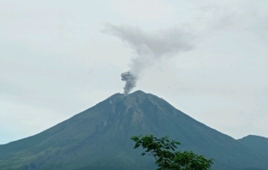 Gunung Semeru erupsi melontarkan kolom abu setinggi lebih lebih kurang 500 meter pada pukul 07:02 WIB, Jumat 25 November 2022.