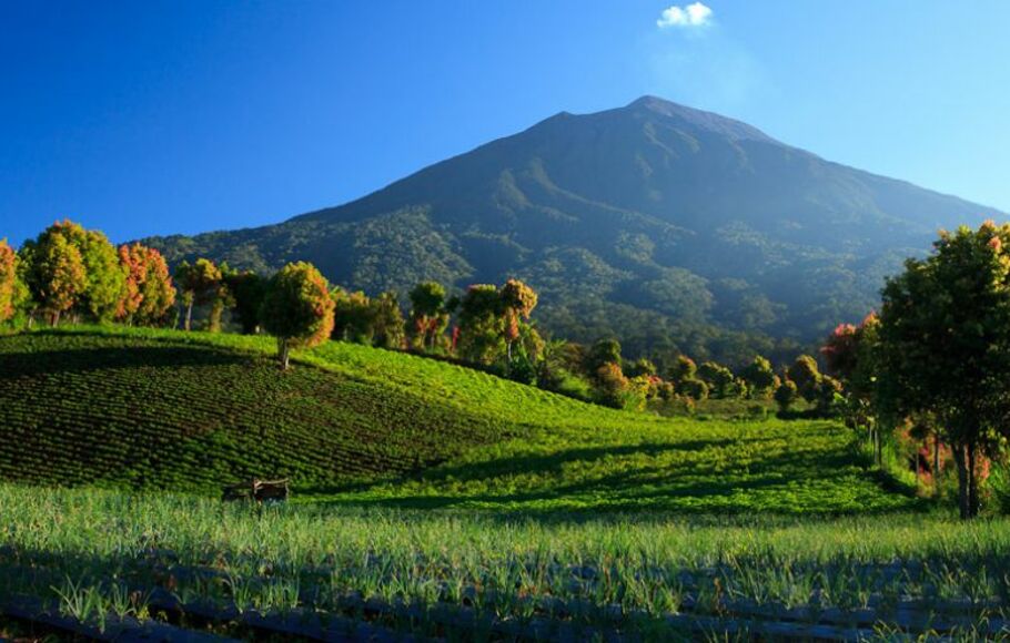 Pegunungan di Pulau Sumatera