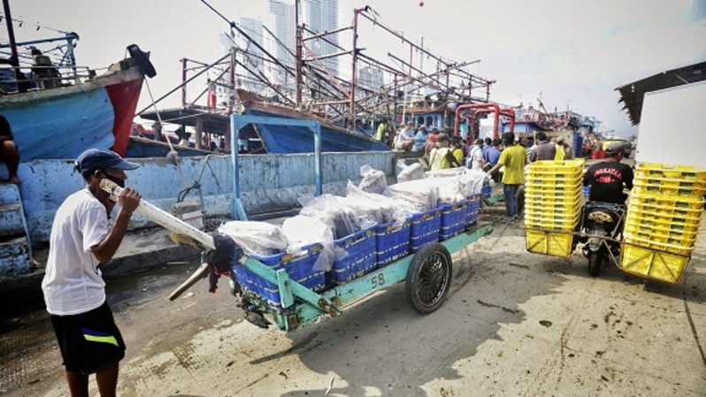 Nelayan melakukan bongkar muat hasil tangkapan laut di Pelabuhan Perikanan Muara Angke, Jakarta.  Foto: BeritasatuPhoto/Ruht Semiono