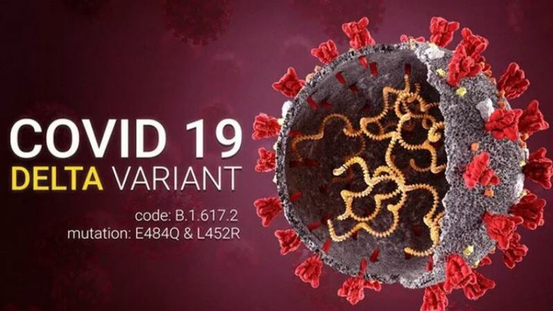 Ilustrasi - Covid 19 coronavirus Delta variant Sars ncov 2 2021. Delta Strain. India Coronavirus delta variant. B.1.617.2 E484Q L452R. ANTARA/Shutterstock/pri. 
