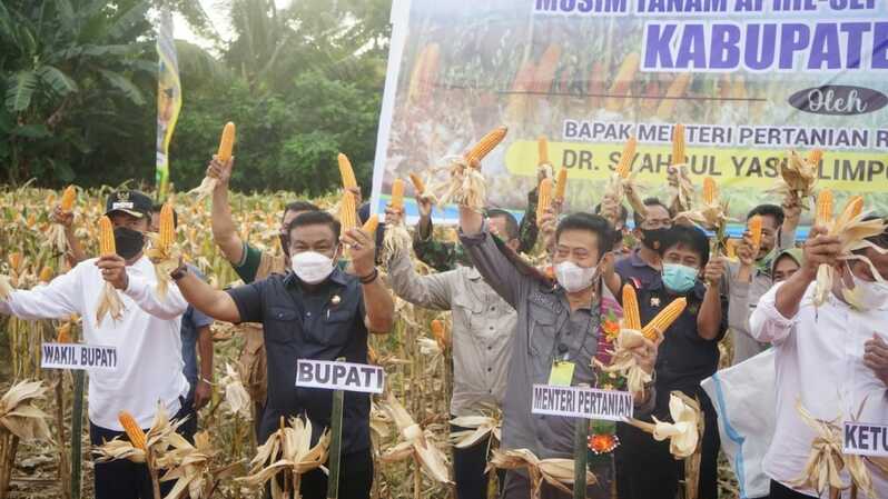 Menteri Pertanian (Mentan) Syahrul Yasin Limpo melakukan panen perdana jagung hibrida musim tanam April di Desa Lanca, Kecamatan Tellu Siattinge, Kabupaten Bone, Sulawesi Selatan (Sulsel), Sabtu 3 Juli 2021. (Foto: Dok. Kemtan)
