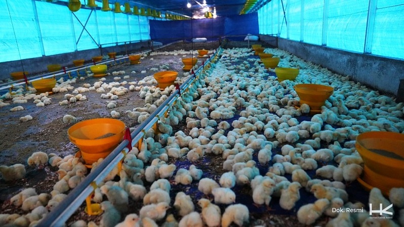 Hutama Karya secara resmi melakukan Serah Terima atas Bantuan Kandang dan Budidaya Ternak Ayam Broiler di Pondok Pesantren Anshorullah, Kabupaten Kampar - Riau pada Minggu (5/9).