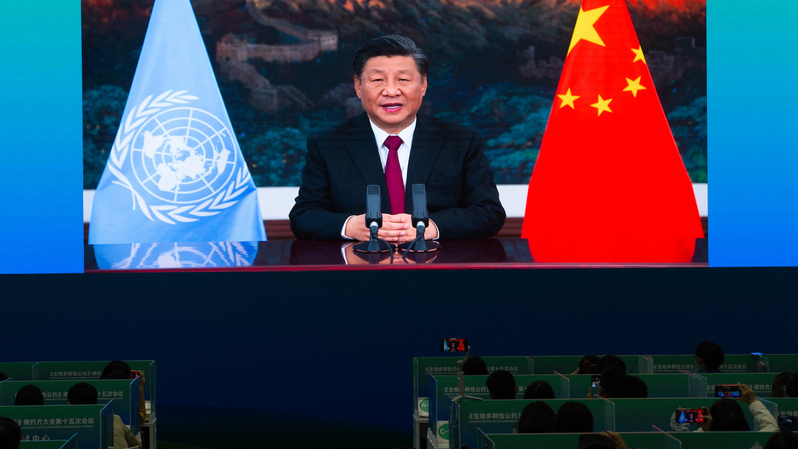 Anggota staf media menyaksikan pidato langsung Presiden Tiongkok, Xi Jinping lewat layar di pusat media Konferensi Keanekaragaman Hayati PBB (COP 15), di Kunming, Pprovinsi Yunnan, Tiongkok barat daya, pada 12 Oktober 2021. ( Foto: STR / AFP )