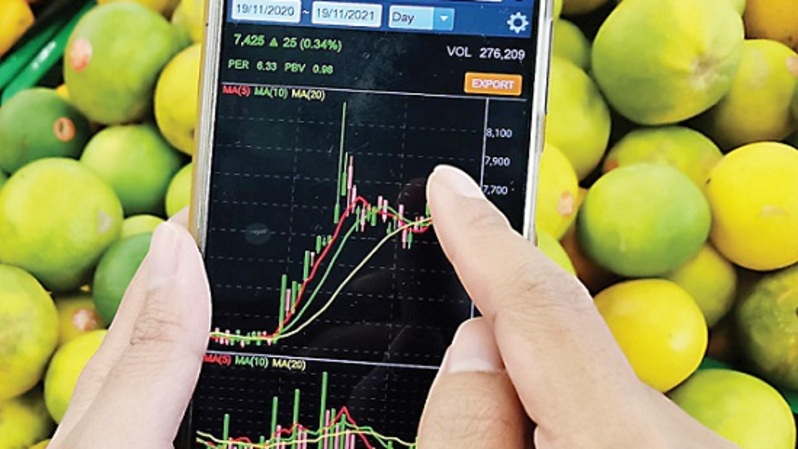 Investor memantau pergerakan harga saham melalui ponselnya saat berbelanja di sebuah supermarket di Serpong, Tangerang Selatan. Foto ilustrasi: Investor Daily/David Gita Roza