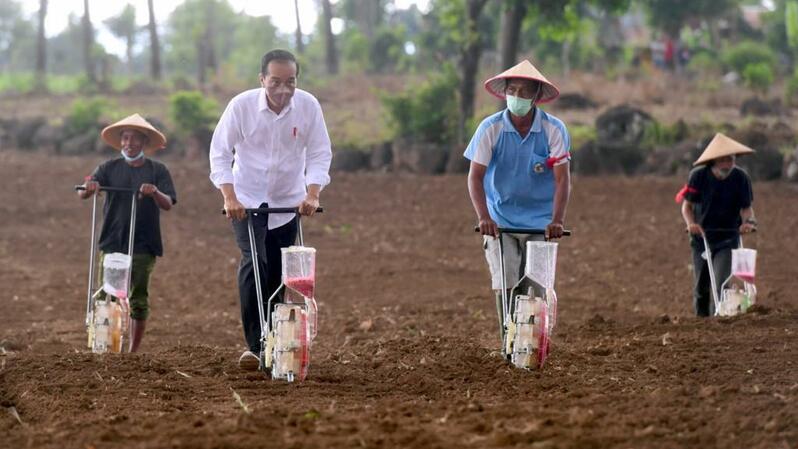 Presiden Joko Widodo (Jokowi) mengikuti kegiatan tanam jagung pada hamparan seluas 1.000 hektare di Kelurahan Tolokota, Kecamatan Kelara, Kabupaten Jeneponto, Sulawesi Selatan, Selasa 23 November 2021. (Foto: Dok. Kementan)
