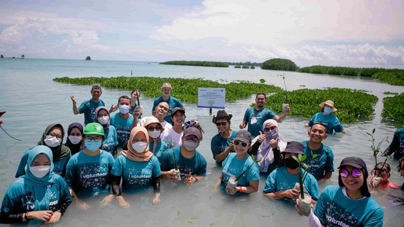 Kegiatan menanam 3.000 pohon mangrove oleh Allianz Indonesia. Foto: Ist