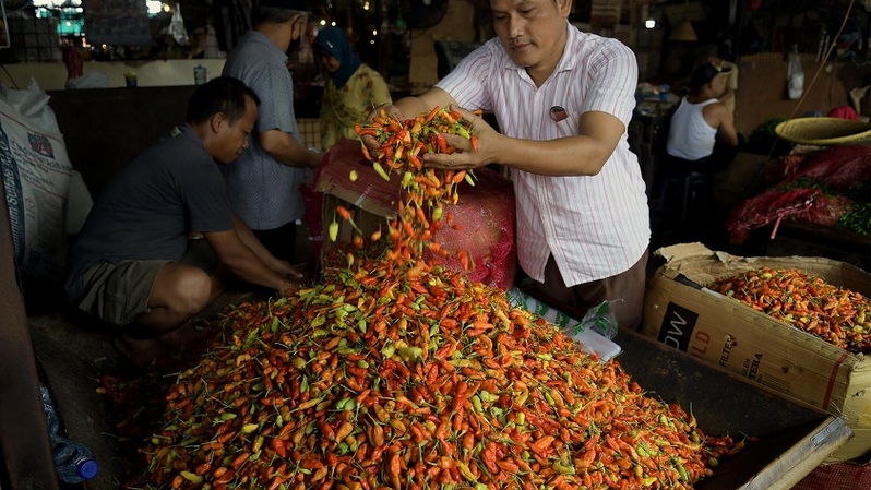 Pedagang memilah cabai rawit merah di Pasar Induk Kramat Jati, Jakarta Timur, belum lama ini. BPS melaporkan komoditas cabai yang termasuk dalam komponen harga yang bergejolak menyumbang inflasi pada Juli 2022 sebesar 0,25% dari total inflasi, yakni 0,64%. (Foto ilustrasi:  BeritaSatuPhoto/Joanito De Saojoao)