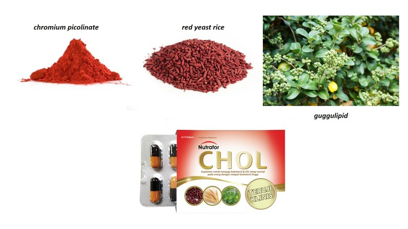Suplemen herbal penurun kolestrol Nutrafor CHOL yang telah melalui uji klinik. ( Foto: Istimewa )
