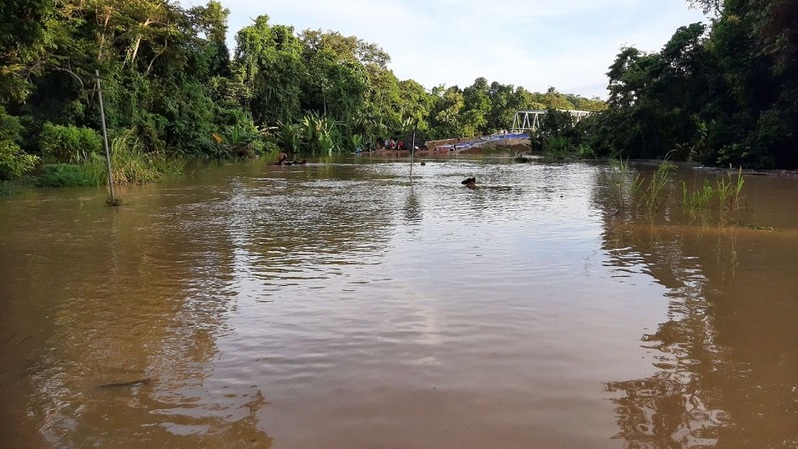 Banjir yang terjadi di Kecamatan Tabang, Kabupaten Kutai Kertanegara, Provinsi Kalimantan Timur.