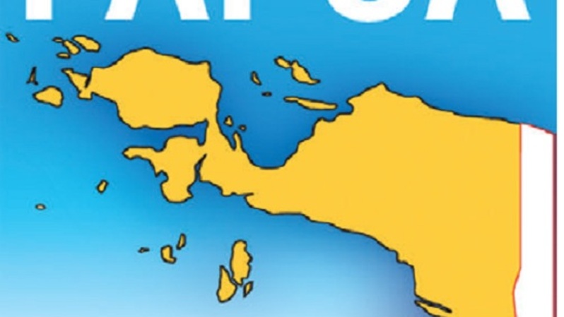Ilustrasi Pulau Papua: Investor Daily