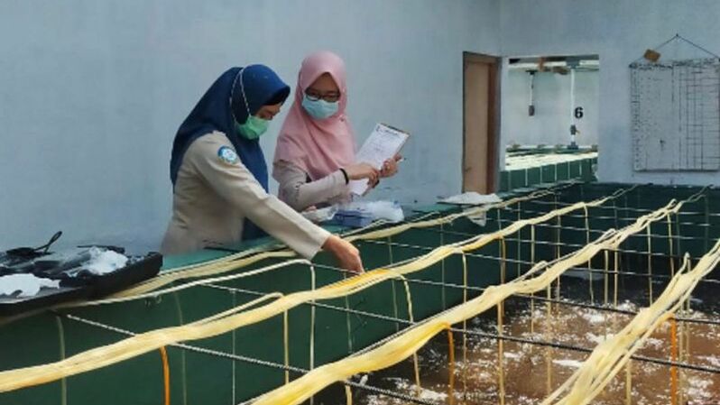 Kegiatan di Balai Karantina Ikan, Pengendalian Mutu dan Keamanan Hasil Perikanan  (BKIPM) Lampung. Foto: KKP